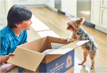 Boy and small dog by delivery box